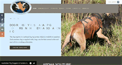 Desktop Screenshot of apdha.org.au